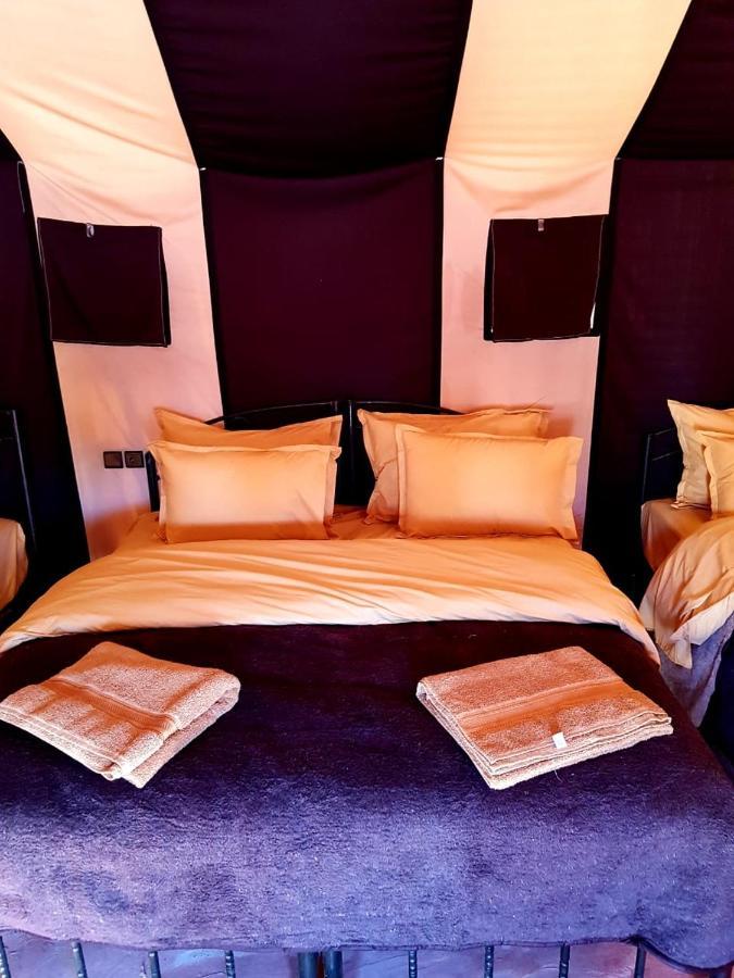 Bedouin Desert Camp メルズーガ エクステリア 写真