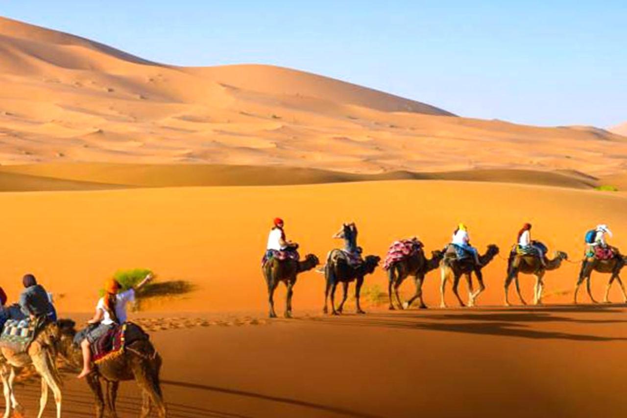 Bedouin Desert Camp メルズーガ エクステリア 写真