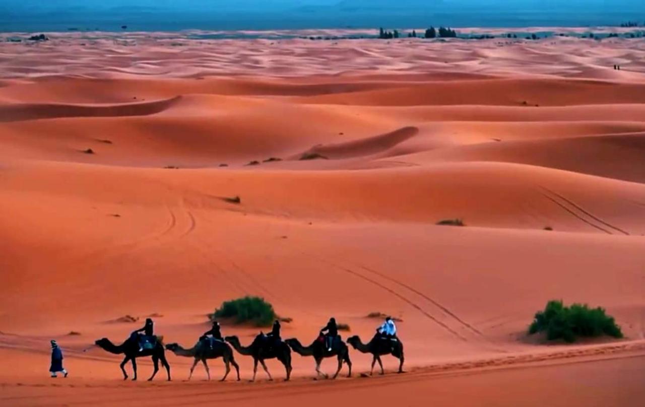 Bedouin Desert Camp メルズーガ エクステリア 写真