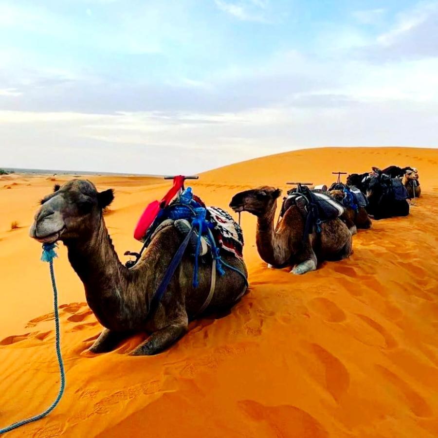 Bedouin Desert Camp メルズーガ エクステリア 写真